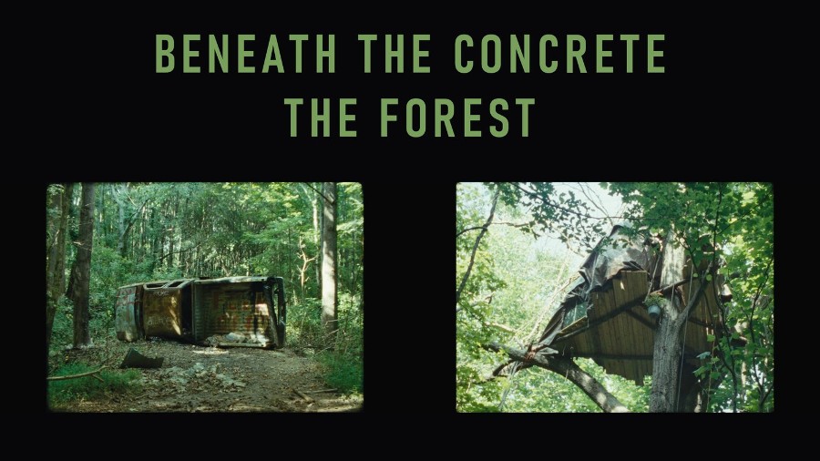 Beneath the Concrete, The Forest